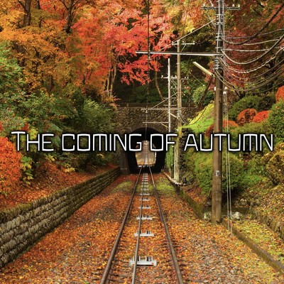 シングル/The coming of autumn(Remastered 2024)/Makoto