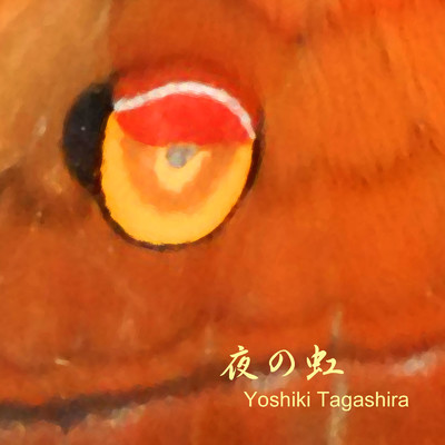 夜の虹/Yoshiki Tagashira