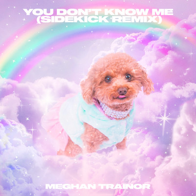 シングル/You Don't Know Me (Sidekick Remix)/Meghan Trainor