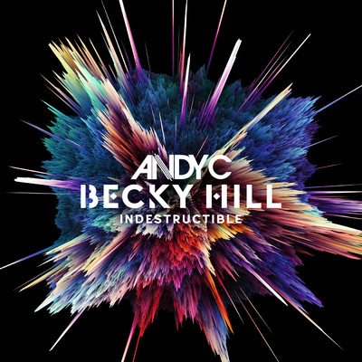 Indestructible (Extended Mix)/Andy C／ベッキー・ヒル