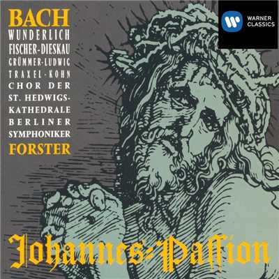 Johannes-Passion, BWV 245, Pt. 2: No. 20, Aria. ”Erwage, wie sien blutgefarbter Rucken”/Karl Forster