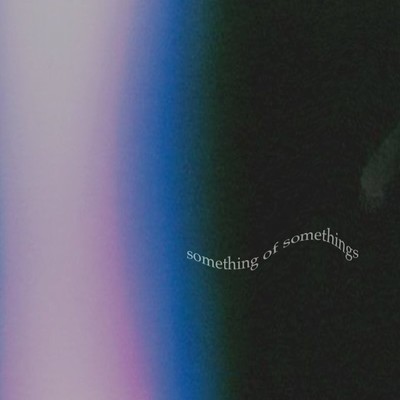 アルバム/something of somethings/looking for my goddess & SXICIDE RYUSEI
