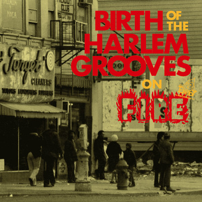 Birth of the Harlem Grooves on Fire/Various Artists