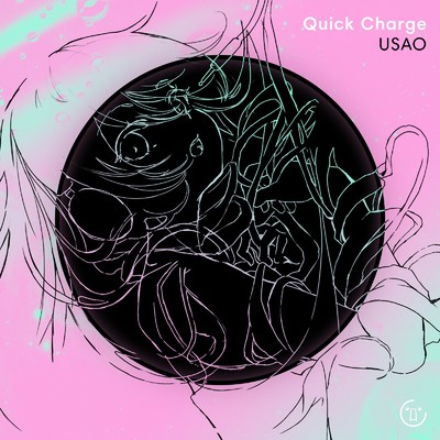 シングル/Quick Charge/USAO