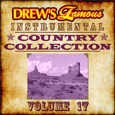 Drew's Famous Instrumental Country Collection (Vol. 17)/The Hit Crew