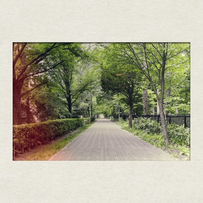 手紙 (2023 Remastered)/Folits