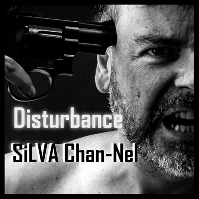 Disturbance/SiLVA Chan-Nel