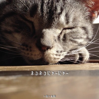 ネコネコにゃーにゃー/F田F太郎 feat. 初音ミク