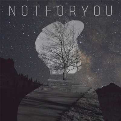 Not For You (feat. Sunny Lee, In Seong Han)/Dirstroyer