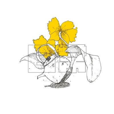 日常/Yellow Cattleya