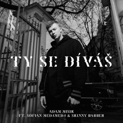 シングル/Ty Se Divas (featuring Sofian Medjmedj, SKiNNY BARBER)/Adam Misik