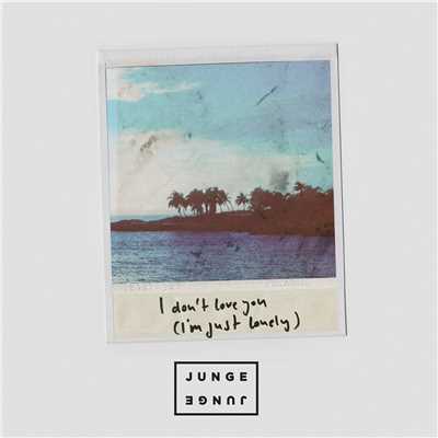 I Don't Love You (I'm Just Lonely) (Explicit) (Extended)/Junge Junge