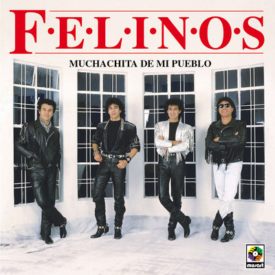 シングル/Muchachita De Mi Pueblo/Los Felinos