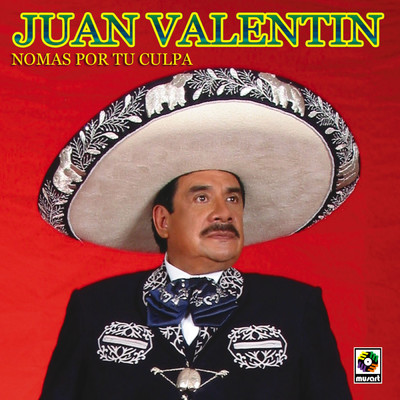 アルバム/Nomas Por Tu Culpa/Juan Valentin