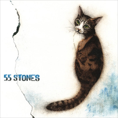 アルバム/55 STONES/斉藤 和義