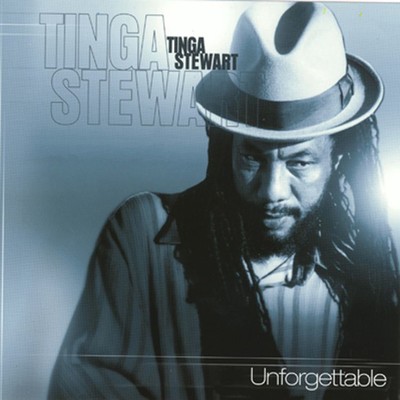 Strangers In The Night/Tinga Stewart