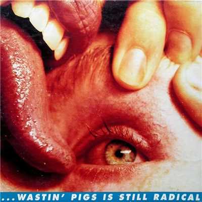 Wastin' Pigs (Extended Single Version)/The Flaming Lips
