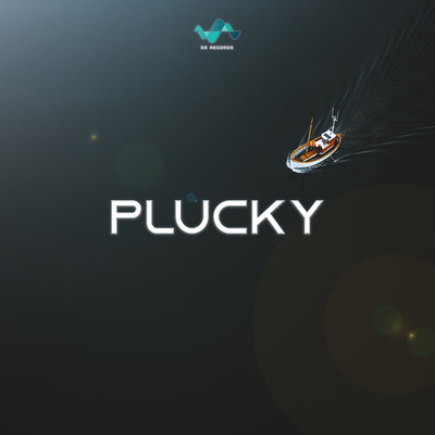 Plucky/NS Records