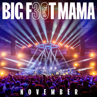 シングル/November (v zivo Stozice)/Big Foot Mama
