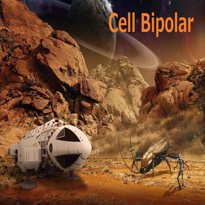アルバム/Cell Bipolar/Quadrigeminal Bodies