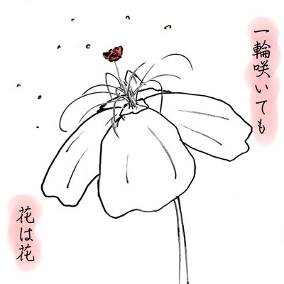 アルバム/一輪咲いても花は花/Shun