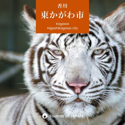 東かがわ市 -豊かな自然と動物とのふれあい-/Sounds of JAPAN