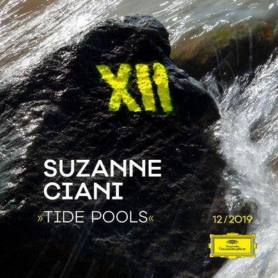 シングル/Tide Pools/Suzanne Ciani