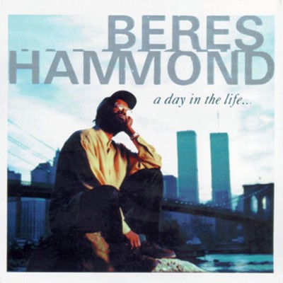 アルバム/A Day In The Life/Beres Hammond