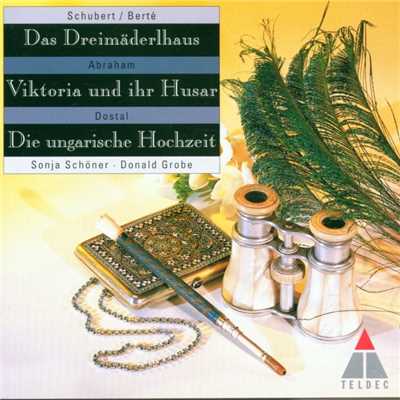 シングル/Schubert ／ Berte : Das Dreimaderlhaus : X ”Ich schnitt es gern in alle Rinden ein” [Schubert]/Hermann Hagestadt