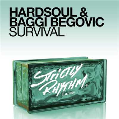 Hardsoul & Baggi Begovic