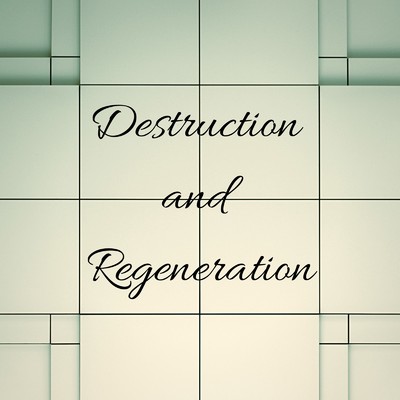 Destruction and Regeneration/VANDARIZE