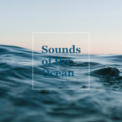 Foamy Sea/Natural Sounds