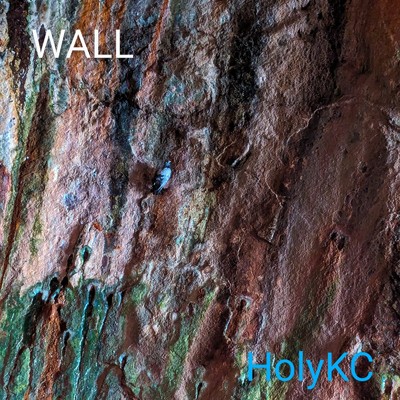 WALL/HolyKC