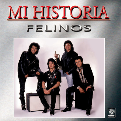 アルバム/Mi Historia/Los Felinos