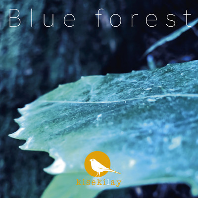 Blue forest/kisekilay