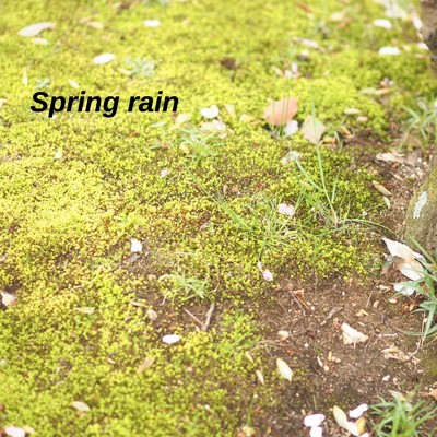Spring Rain/下本 滋