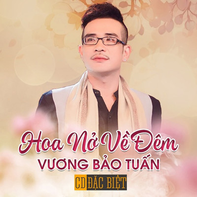 アルバム/Hoa No Ve Dem/Vuong Bao Tuan