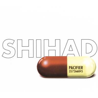 Hard Year/Shihad