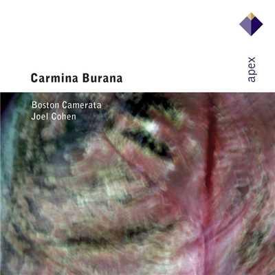 アルバム/Carmina Burana [c1230]  -  Apex/Joel Cohen