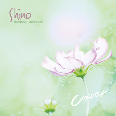 Cover/Shino