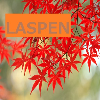 アルバム/LASPEN/音元魂
