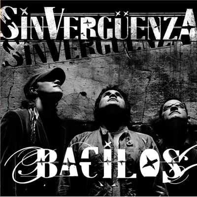 アルバム/Sinverguenza/Bacilos