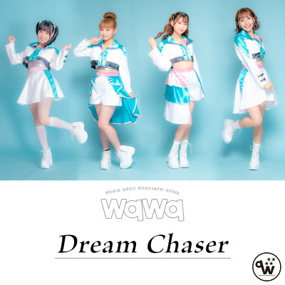 Dream Chaser/wqwq