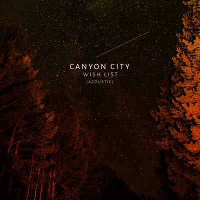 Wish List (Acoustic)/Canyon City