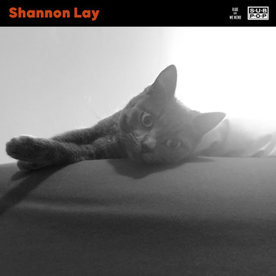 アルバム/Blue/Shannon Lay