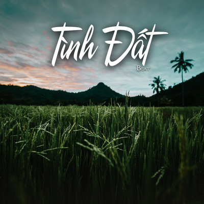 シングル/Tinh Dat (Beat)/NS Records