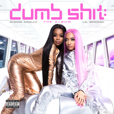 Dumb Shit: The Album (Explicit)/S3nsi Molly／Lil Brook