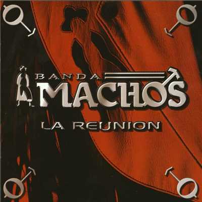 Las Nachas (a duo con Celso Pina)/Banda Machos
