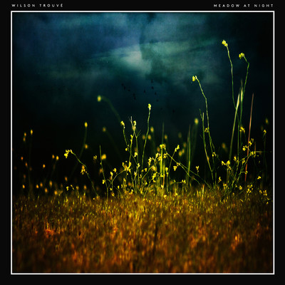 Meadow At Night/Wilson Trouve