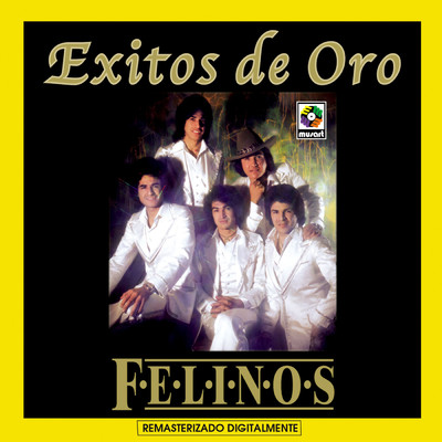 アルバム/Exitos de Oro/Los Felinos